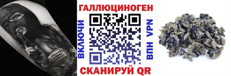 даркнет как зайти  Кириллов  Псилоцибиновые грибы ЛСД  наркотики 